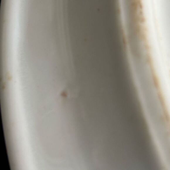 Jackson China B.P.O.E. 349 Elks Lodge DuBois Pa Sectional 10 1/2”  Plate - Picture 7 of 10